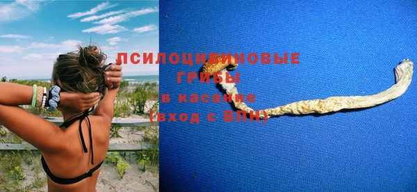 индика Бронницы