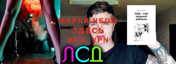 прущая мука Бородино