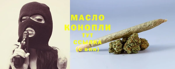индика Бронницы