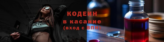 индика Бронницы