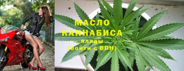 индика Бронницы