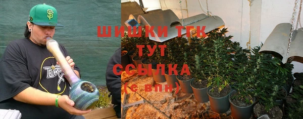 индика Бронницы