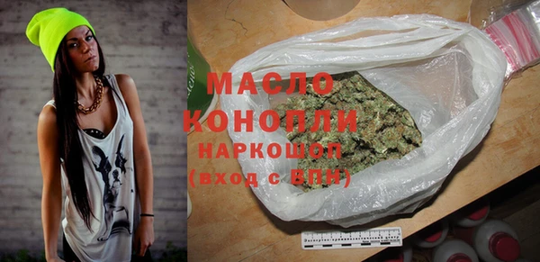 индика Бронницы