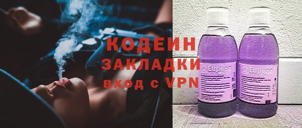 индика Бронницы