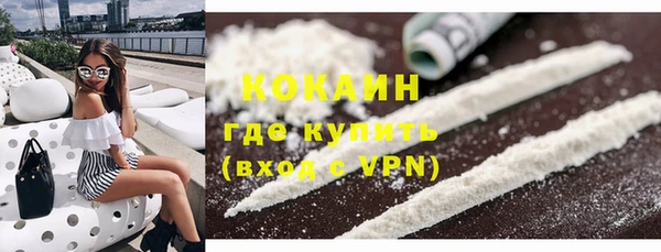 индика Бронницы