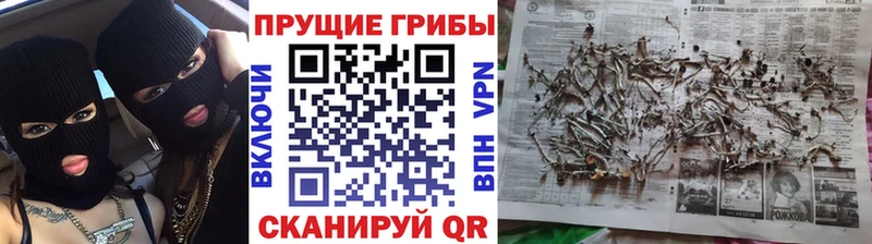 Галлюциногенные грибы MAGIC MUSHROOMS  Каргат 
